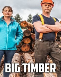 Big Timber T1