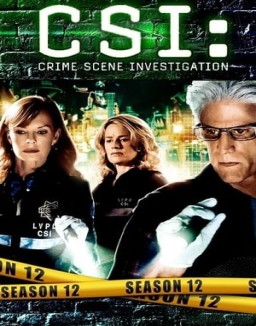 CSI: Las Vegas temporada  12 online