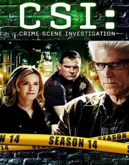 CSI: Las Vegas temporada  14 online
