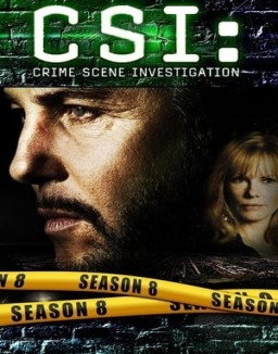 CSI: Las Vegas temporada  8 online