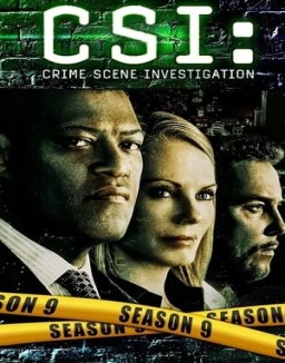 CSI: Las Vegas temporada  9 online