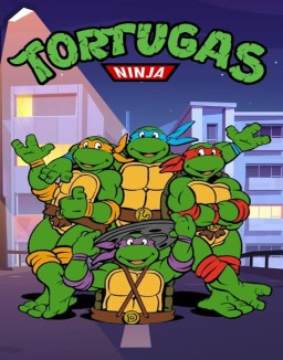 Las Tortugas Ninja (1987)