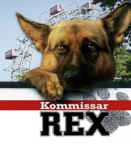 Rex, un policía diferente temporada  1 online